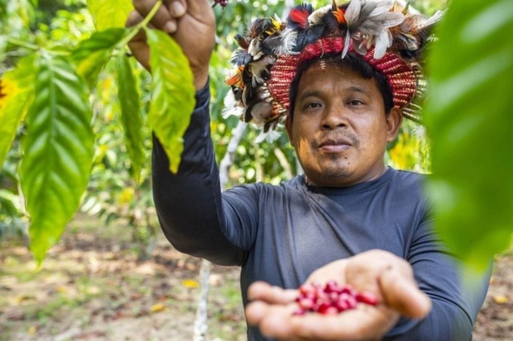 MDS contou com os estados para mapear demandas e mobilizar populações indígenas a participarem do PAA - Foto: Divulgação: Funai / MPI