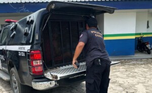 Homem importunava sexualmente criança desde os 8 anos de idade, em Parintins