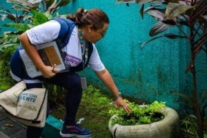 Alerta em Manaus: 809 casos de dengue confirmados e Prefeitura pede apoio da população