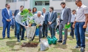Minha Casa, Minha Vida entrega imóveis para mais de 1,3 mil famílias: ‘Sonho realizado’