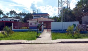 Crueldade: homem mata cadela da raça Rottweiler com golpe de terçado, no AM