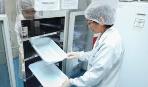 Hemoam alerta para estoque de sangue tipo O+ e O- crítico após feriado prolongado