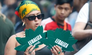 Quantidade de maconha vai diferenciar uso pessoal e tráfico