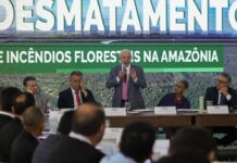 Amazônia terá R$ 730 milhões para combate a incêndios e desmatamento