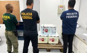Mulher que transportava espécies raras de arraias silvestres no Aeroporto de Manaus é presa pela PF