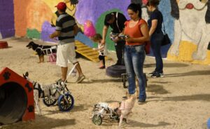 Manaus ganha a primeira Praça PET; espaço foi revitalizado após 20 anos de abandono