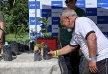 Cigás anuncia que uso do gás natural evitou emissão de 6,2 milhões de toneladas de gases do efeito estufa