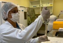 Pesquisa analisa uso do DNA circulante do HPV como biomarcador para câncer de colo de útero