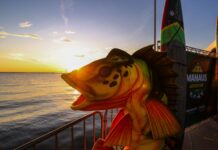 Manaus Adventure 2024 reunirá pesca, natação com atletas nacionais e internacionais, SUP e muito mais