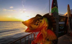 Manaus Adventure 2024 reunirá pesca, natação com atletas nacionais e internacionais, SUP e muito mais