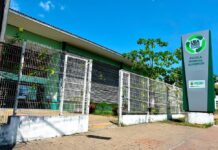 UEA prorroga inscrições para o Clube de Ciências, Biologia e Meio Ambiente até amanhã (7)