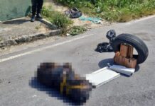 Chocante: Grávida, Rottweiler sofreu várias fraturas e laudo aponta morte por asfixia mecânica