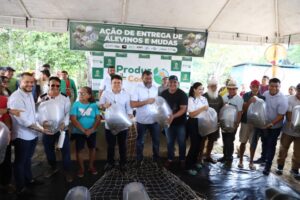 Governo do AM e Prefeitura de Coari entregam 100 mil alevinos a piscicultores