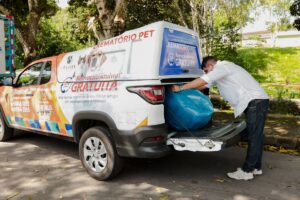 Manaus oferta serviço ‘Crematório Pet’ para remoção gratuita de animais; veja como solicitar
