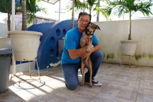 Kennedy Marques propõe lei para penalizar motoristas que não socorrerem animais atropelados