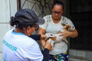 Manaus inicia campanha para vacinar cães e gatos contra a raiva