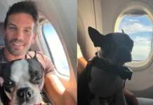 Gol é condenada a permitir cão de apoio emocional na cabine e pagar indenização
