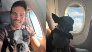 Justiça multa Gol e convoca Polícia Federal para garantir embarque de cão de apoio emocional