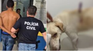 Homem que cravou faca nas costas de um cachorro disse que ‘reagiu a um suposto avanço do animal’, diz PC