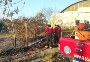 Operação Céu Limpo: nas últimas 24 horas, bombeiros combateram 14 incêndios em áreas de vegetação em Manaus
