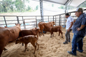 Wilson Lima abre 46ª Expoagro destacando ações para fortalecer setor afetado pela estiagem