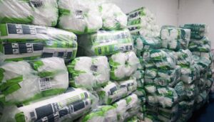 Programa Melhor em Casa atende 700 pacientes em Manaus com entrega de fraldas e medicamentos