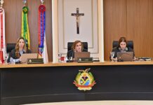 TCE cria comitê para intensificar o enfrentamento às queimadas no Amazonas