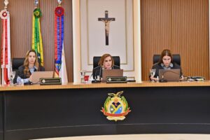 TCE cria comitê para intensificar o enfrentamento às queimadas no Amazonas