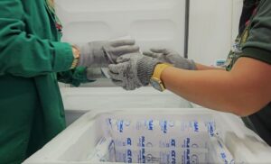 Amazonas recebe 16,8 mil novas doses de vacina contra a Covid-19