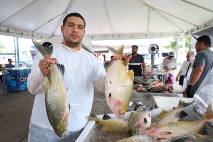 ADS Governo do Amazonas promove edição especial do Feirão do Pescado e Feira de produtos regionais confira a programação desta semana Foto Divulgação ADS ADS Governo do Amazonas promove edição especial do Feirão do Pescado e Feira de produtos regionais confira a programação desta semana Foto Divulgação ADS