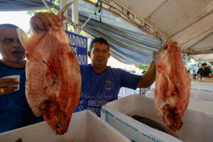 Edição especial do Feirão do Pescado atrai consumidores com variedades e ofertas