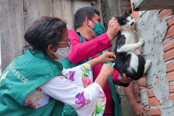 Vacinação Antirrábica 3