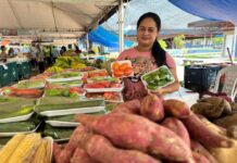 ADS ADS realiza últimas feiras com edição especial na SEAS antes do recesso de fim de ano Foto Ruth Jucá
