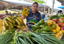 ADS Últimos dias das Feiras de Produtos Regionais da ADS de são realizadas nesta semana Foto Ruth Jucá