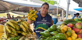 ADS Últimos dias das Feiras de Produtos Regionais da ADS de são realizadas nesta semana Foto Ruth Jucá