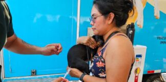 Sema Castramóvel Manaus