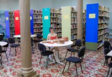 cultura biblioteca publica marcio james