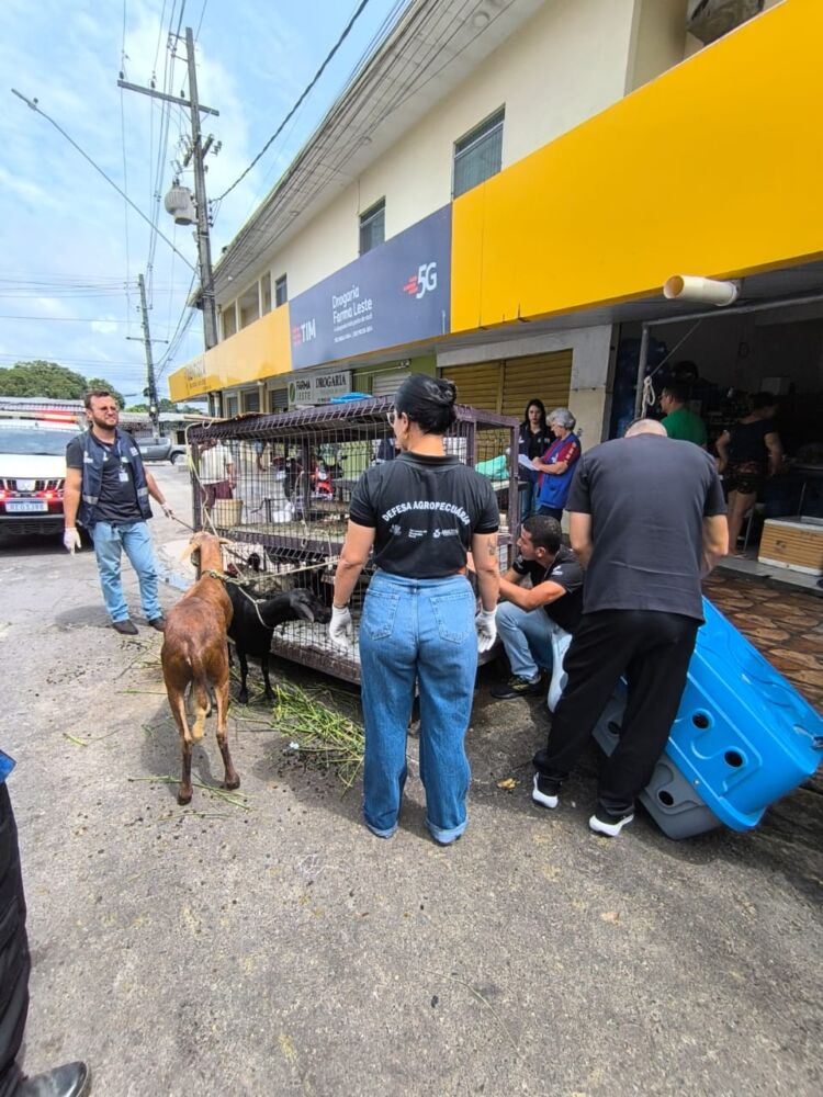 ADAF FOTO ADAF APREENDE CARNE EM ESTABELECIMENTO CLANDESTINO