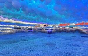 Balloon Experience chega a Manaus com show de luzes e piscina de bolinhas gigante