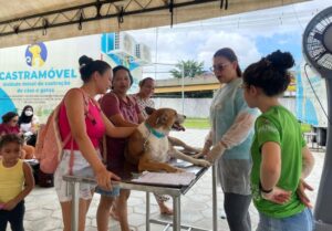 Castramóvel: agendamentos será na quinta e sexta na zona Norte de Manaus