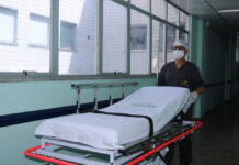 FCecon macas novas FOTO Mariana Monteiro