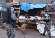 FOTO ARTHUR CASTRO SECOM