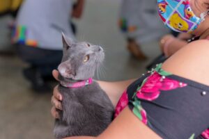 Campanha Antirrábica 2025: veja onde imunizar cães e gatos até 31 de janeiro em Manaus