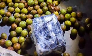 PM apreende mais de 6 kg de maconha escondidos em sacas de tucumã