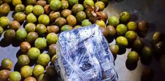 SSP DROGA TUCUMA