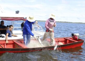 Sepror Pescadores foto Divulgacao