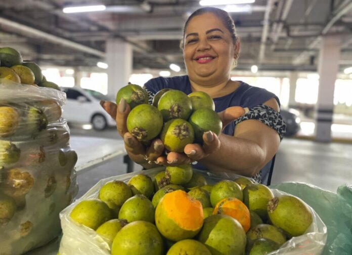 ads feira tucuma