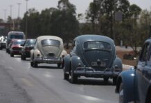 fusca