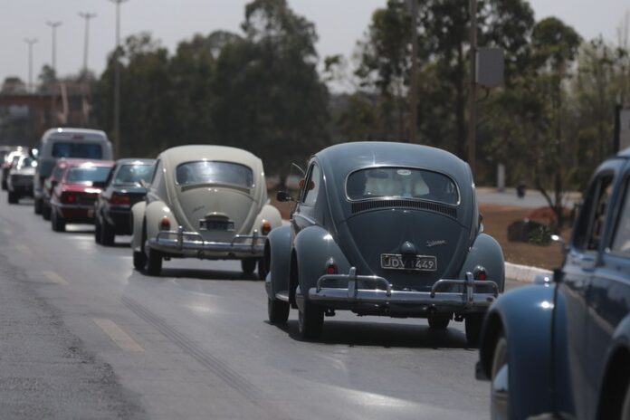 fusca fusca