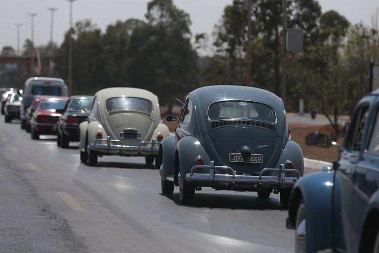 fusca fusca